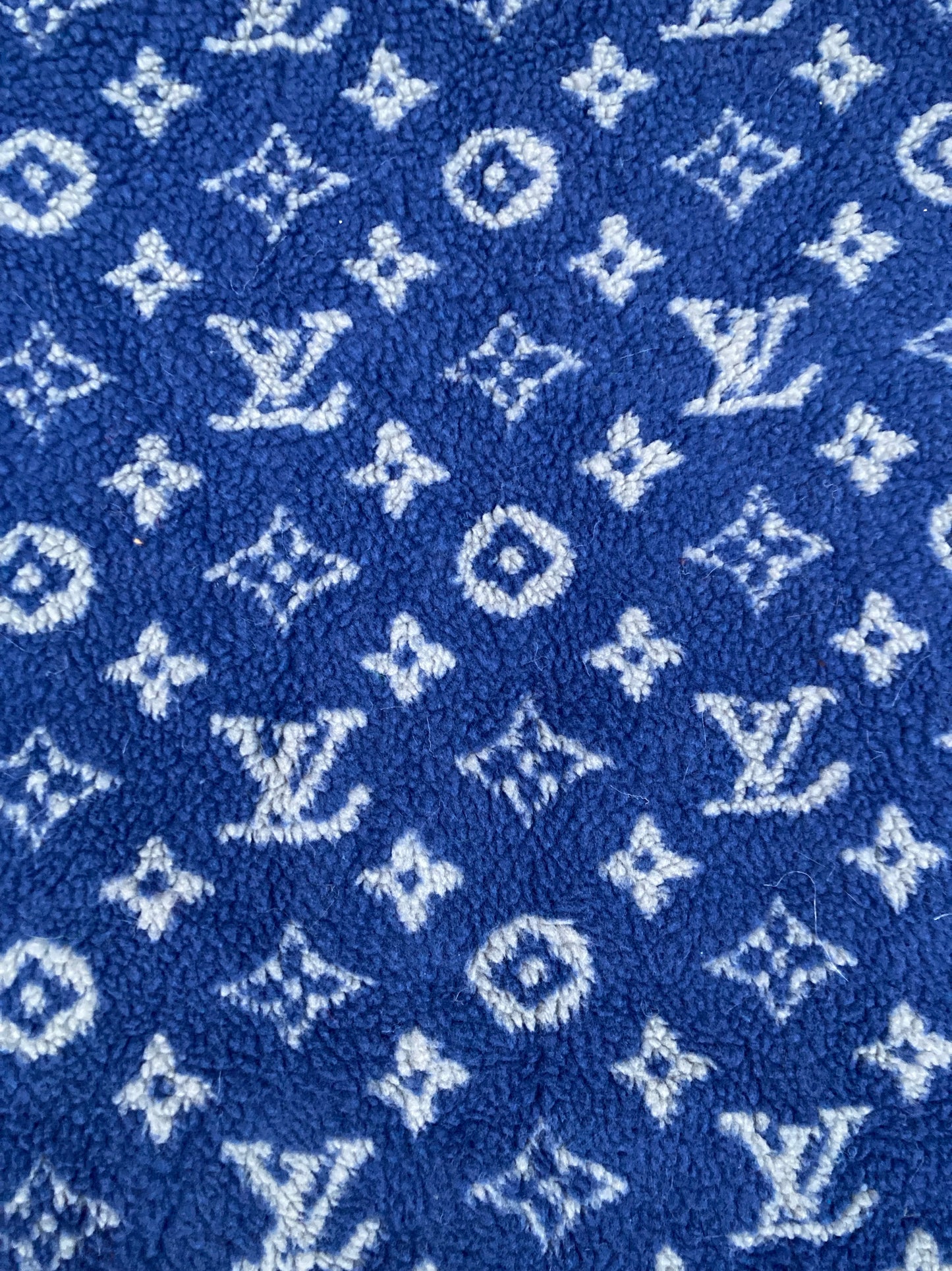 Blue Furry Cozy LV Teddy Flannel Fleece Fabric