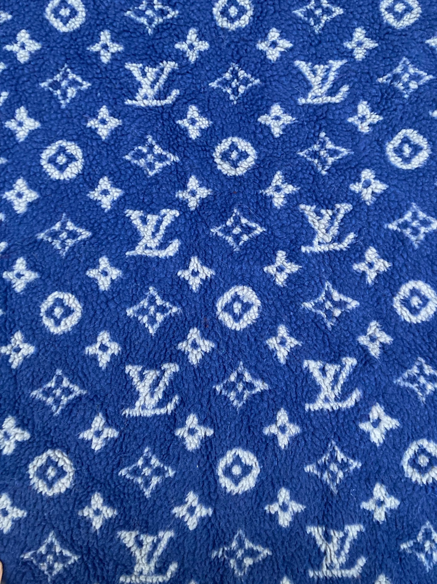 Blue Furry Cozy LV Teddy Flannel Fleece Fabric