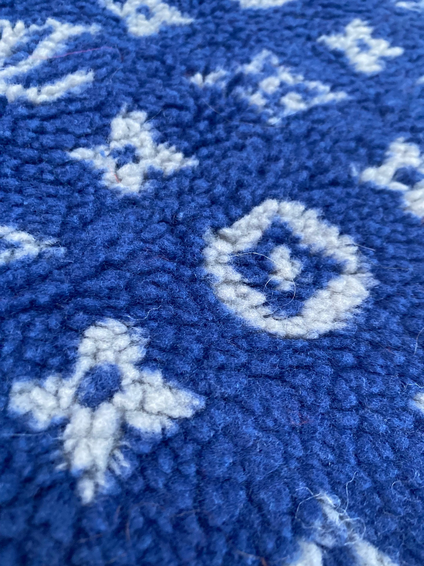 Blue Furry Cozy LV Teddy Flannel Fleece Fabric